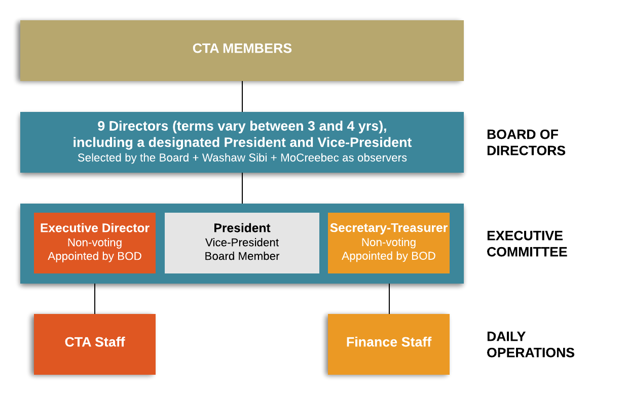 board-of-directors-organizational-chart-scoala-de-soferi-ro