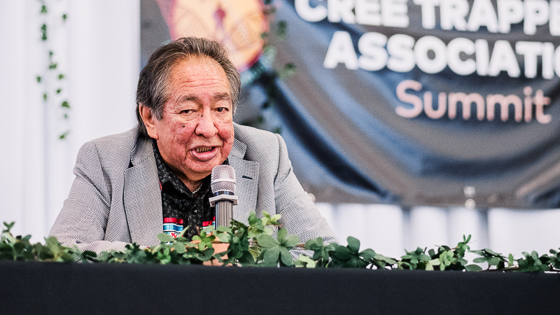 The role of tallymen and the Eeyou hunting law